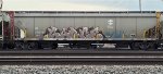IC 799781